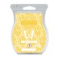 White Grapefruit Scentsy Bar