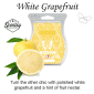 White Grapefruit Scentsy Bar