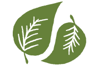 Green Fragrances