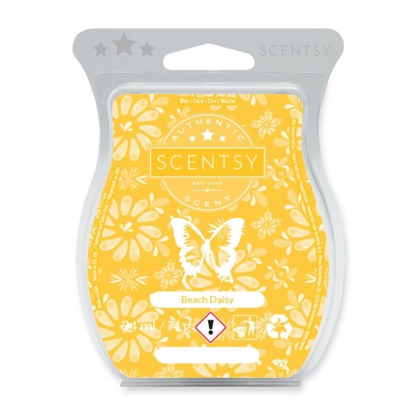 Beach Daisy Scentsy Bar