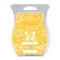 Beach Daisy Scentsy Bar