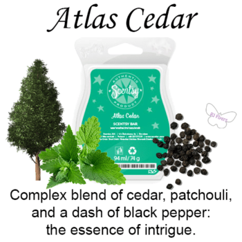 Atlas Cedar Scentsy Bar Atlas Cedar Scentsy Bar