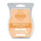 Panettone Scentsy Bar