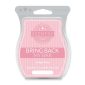 Simply Rose Scentsy Bar