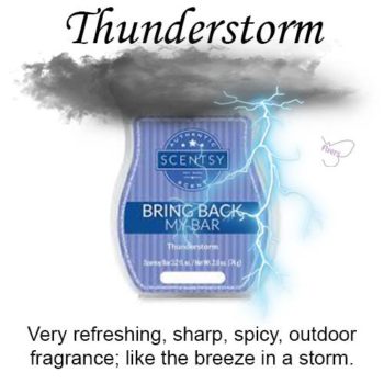 Thunderstorm Scentsy Bar Thunderstorm Scentsy Bar