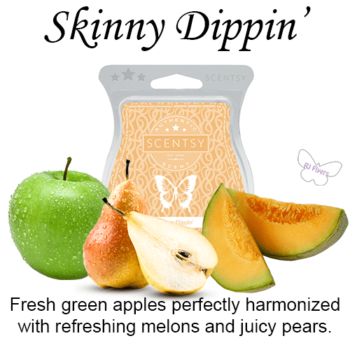 Skinny Dippin’ Scentsy Bar Skinny Dippin’ Scentsy Bar