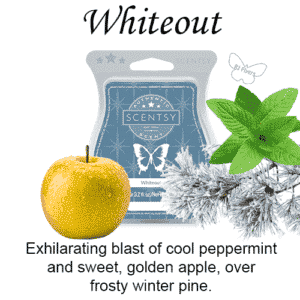Whiteout Scentsy Bar