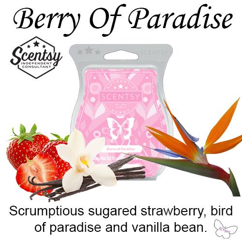 Berry of Paradise Scentsy Bar