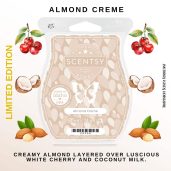 Almond Creme Scentsy Wax Bar