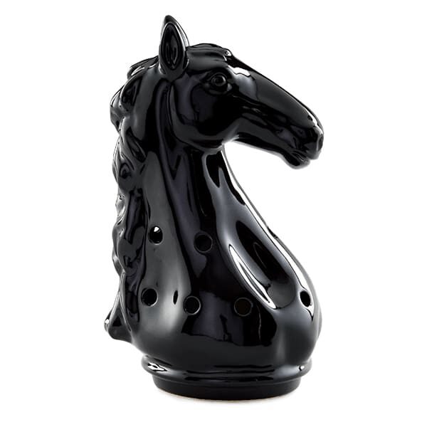 Black Knight Scentsy Warmer Dish