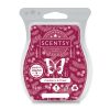 Cranberry & Tinsel Scentsy Bar