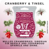 Cranberry & Tinsel Scentsy Bar