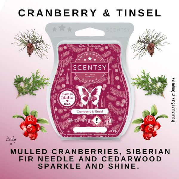 Cranberry & Tinsel Scentsy Bar