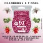 Cranberry & Tinsel Scentsy Bar