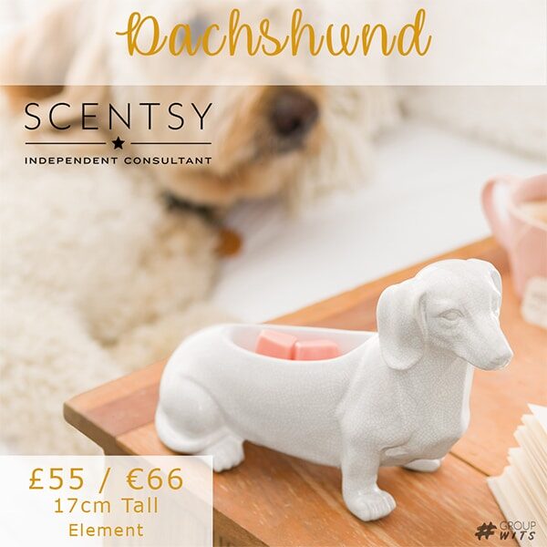 Scentsy UK Dachshund