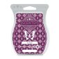 Go Glam Scentsy Bar