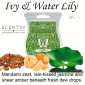 Scentsy Ivy & Water Lily