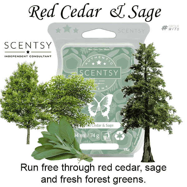 Red Cedar and Sage Scentsy Scented Wax Bar
