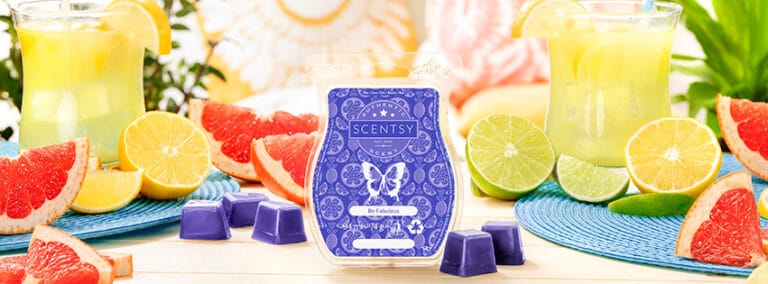 What Is In A Scentsy UK Wax Bar?