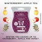 Winterberry Apple Tea Scentsy Bar