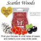 Scarlet Woods Scentsy Bar