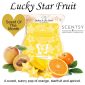 Lucky Star Fruit Scentsy Bar April Scent Of The Month