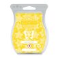 Lucky Star Fruit Scentsy Bar April Scent Of The Month