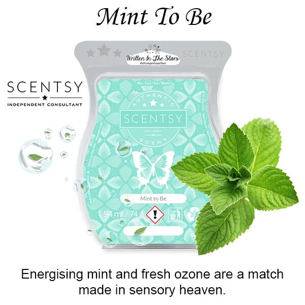 Mint To Be Scentsy Melt Wax Bar