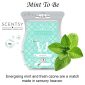 Mint To Be Scentsy Melt Wax Bar