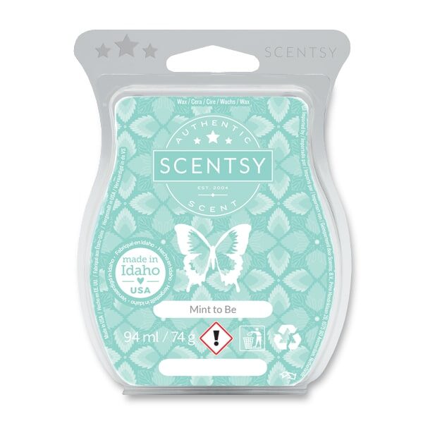 Mint to Be Scentsy Bar