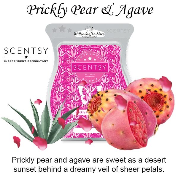 Prickly Pear and Agave Scentsy Melt Wax Bar
