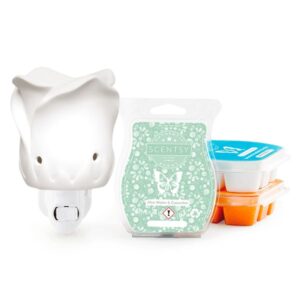 Scentsy System - £24 Warmers