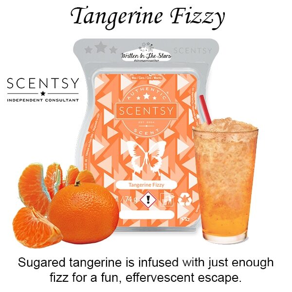 Tangerine Fizzy Scentsy Wax Melt Bar