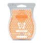 Tropic Tango Scentsy Bar