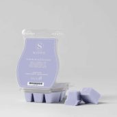Windowsill Breeze Scentsy Wax Bar Melt