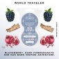 World Traveler Scentsy Pod Twin Pack