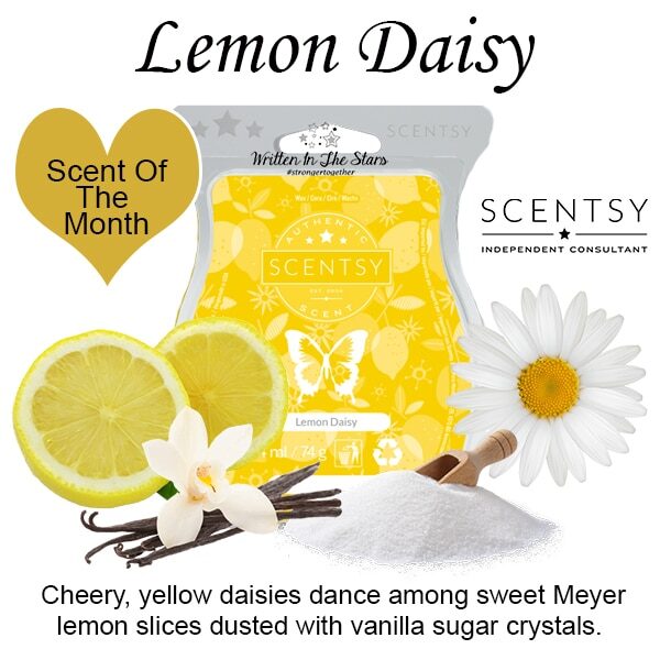 Lemon Daisy Scentsy Bar