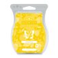 Lemon Daisy Scentsy Bar