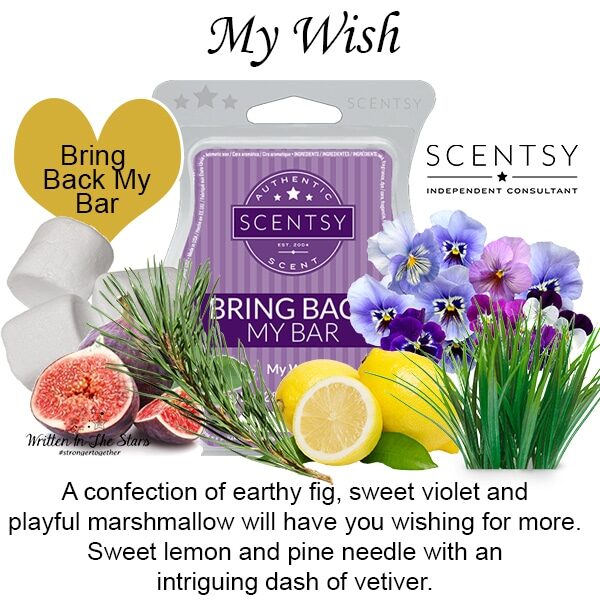 My Wish Scentsy Wax Bar