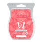 Watermelon Tangerine Scentsy Bar