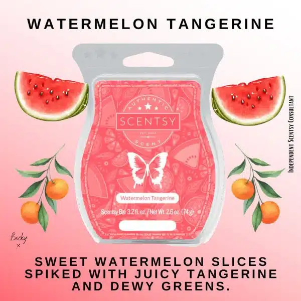 Watermelon Tangerine Scentsy Bar