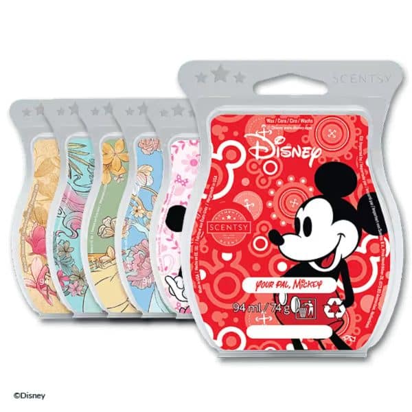 6 Licensed Disney Warner Bros Scentsy Bars