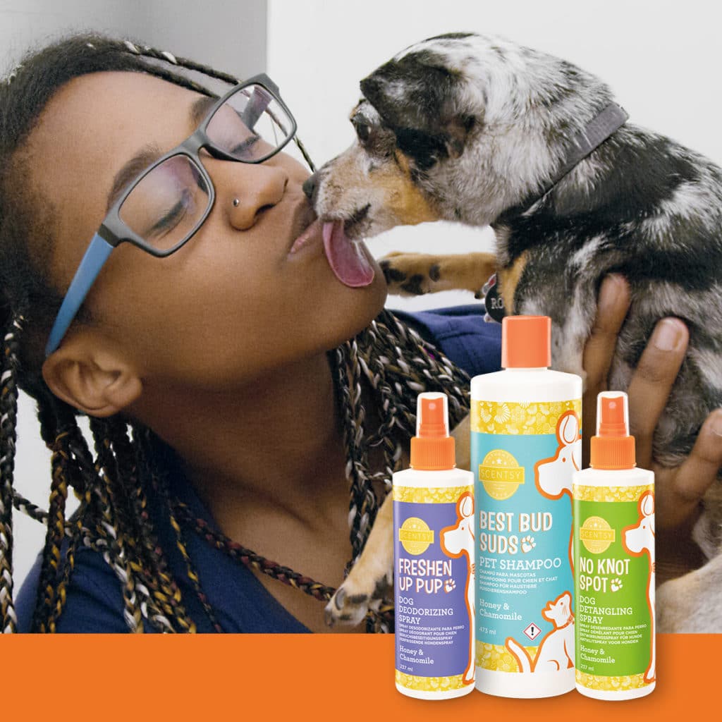 60 Ways On How To Sell and Grow Your Scentsy Direct Sales Business