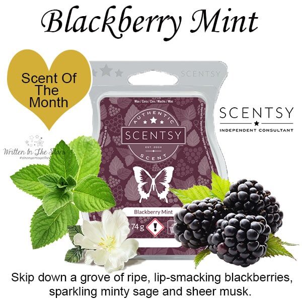 Blackberry Mint Scentsy Scented Wax Bar