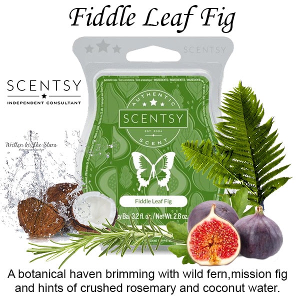 Fiddle Leaf Fig Scentsy Scented Wax Bar
