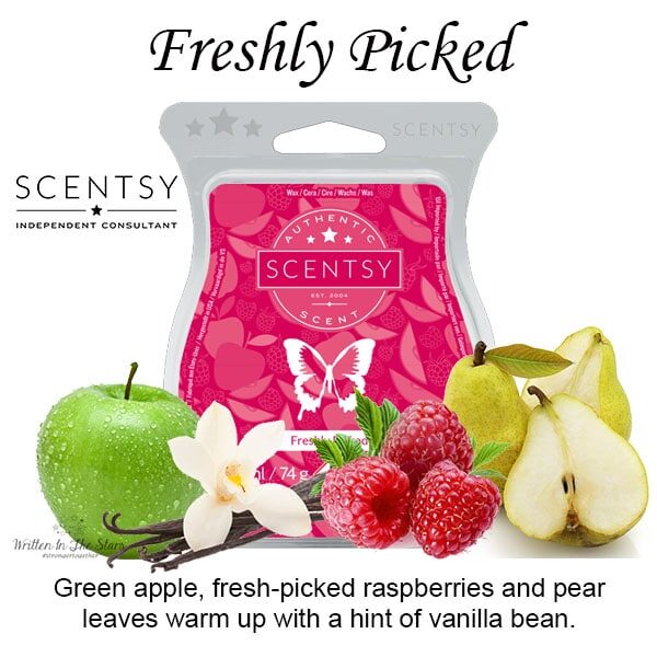 Freshly Picked Scentsy Bar