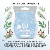 I'm Snow Over It Scentsy Bar