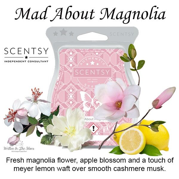 Mad About Magnolia Scentsy Bar