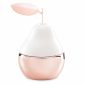 Pear-Fect Scentsy Warmer