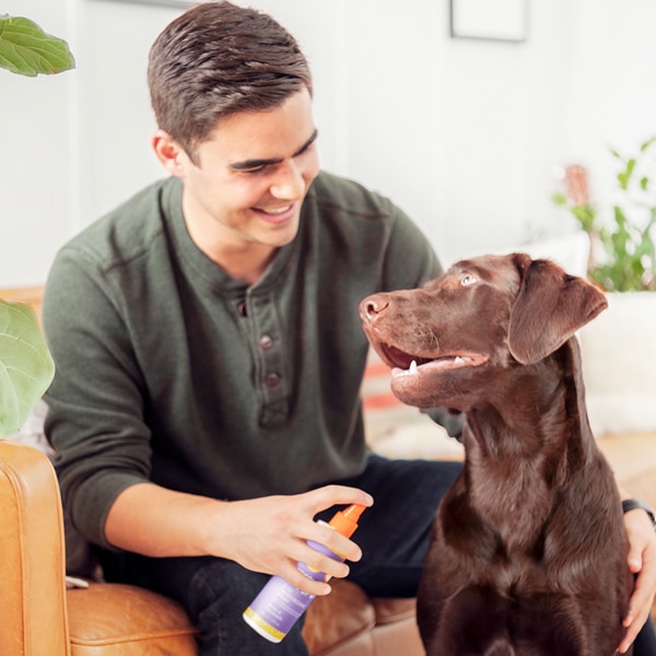 Scentsy Dog Grooming Scentsy Dog Grooming